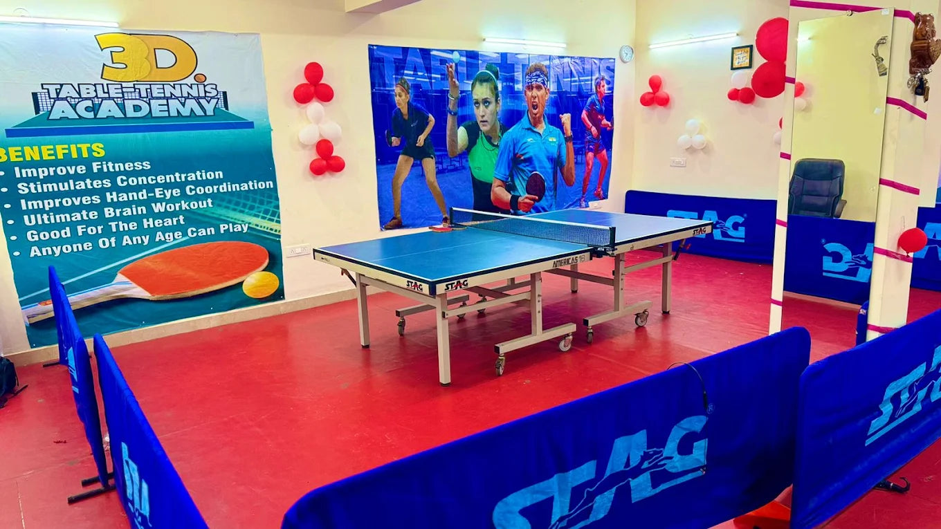 3D Table Tennis Academy | Near Swiss Cottage School Sector 23 Gurgaon