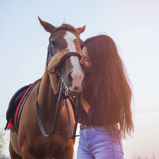 Faridabad Horse Riding & Sports Club Sector 82 Faridabad