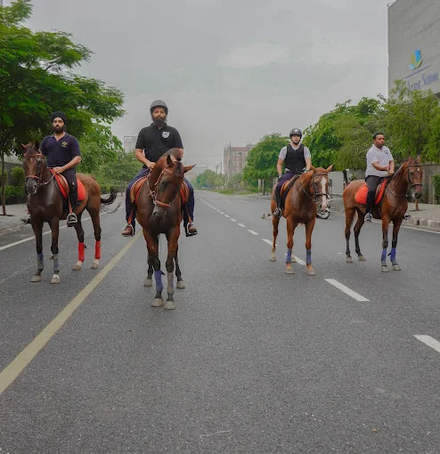 Faridabad Horse Riding & Sports Club Sector 82 Faridabad