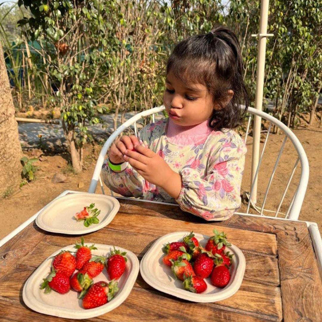 Nature Scrapbooking for Kids at Farmus Farms (26 Apr) | Sector 67 Gurgaon