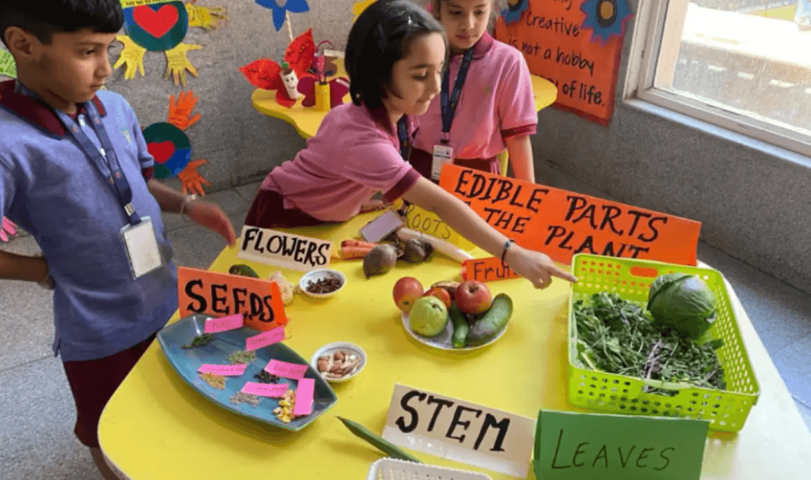 Manav Rachna International School Sector 46 Gurgaon - ActivityKidz