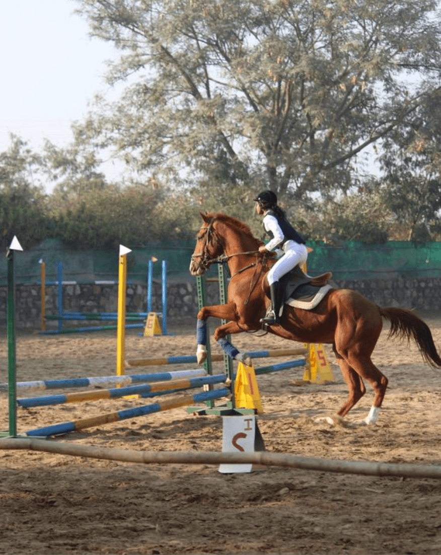 Adagio Riding Stables | Horse Riding | Near Pathways School Gurgaon - ActivityKidz