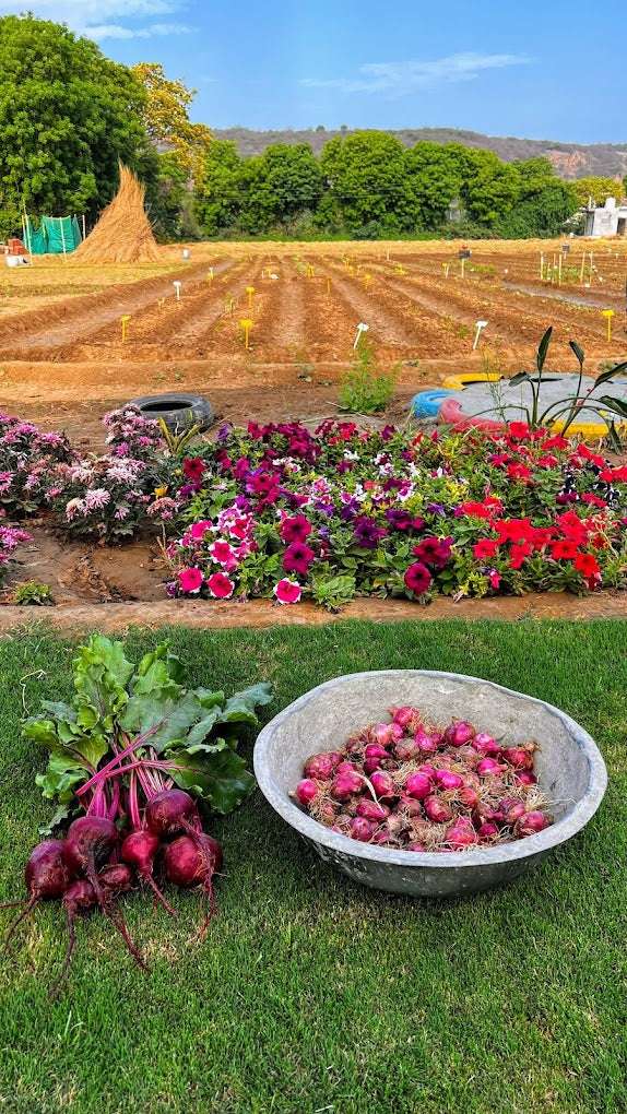 Disconnect to Reconnect At The Farm Collective (29-Mar) | Ghamroj Haryana