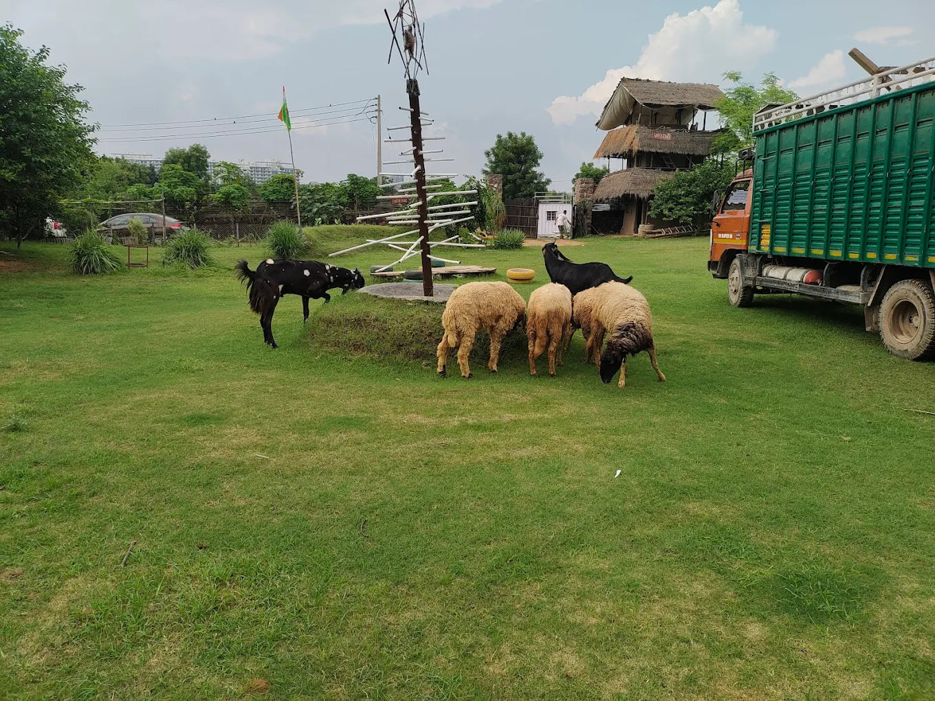 Independence Day at Tuk Tuk Gilhari (15-Aug) | Kadarpur Gurgaon