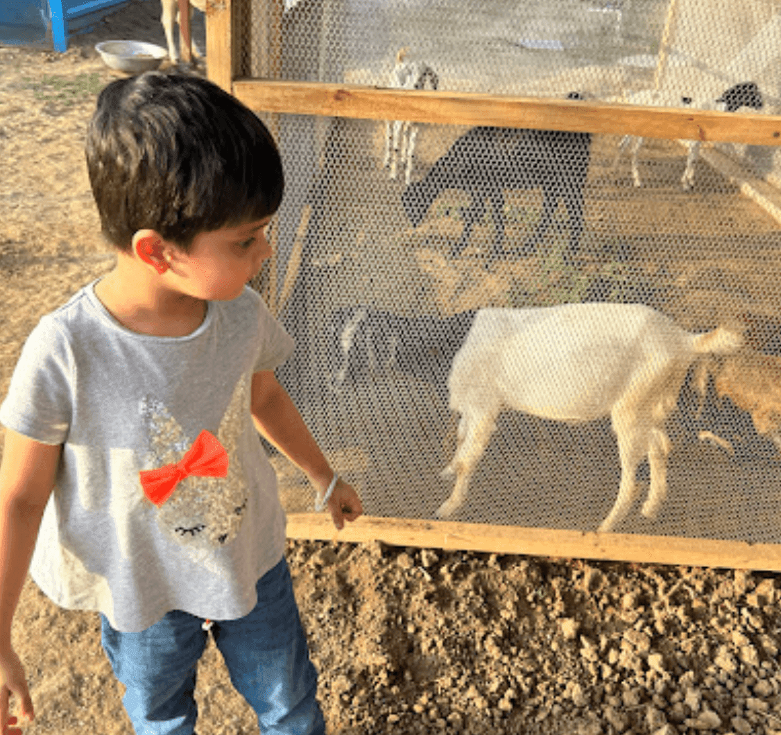 Zootopia - The Funyard Animal Petting Farm | Near Urban Akhara - ActivityKidz