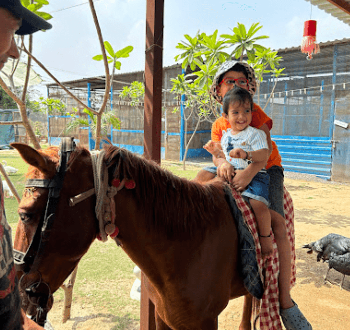 Zootopia - The Funyard Animal Petting Farm | Near Urban Akhara - ActivityKidz
