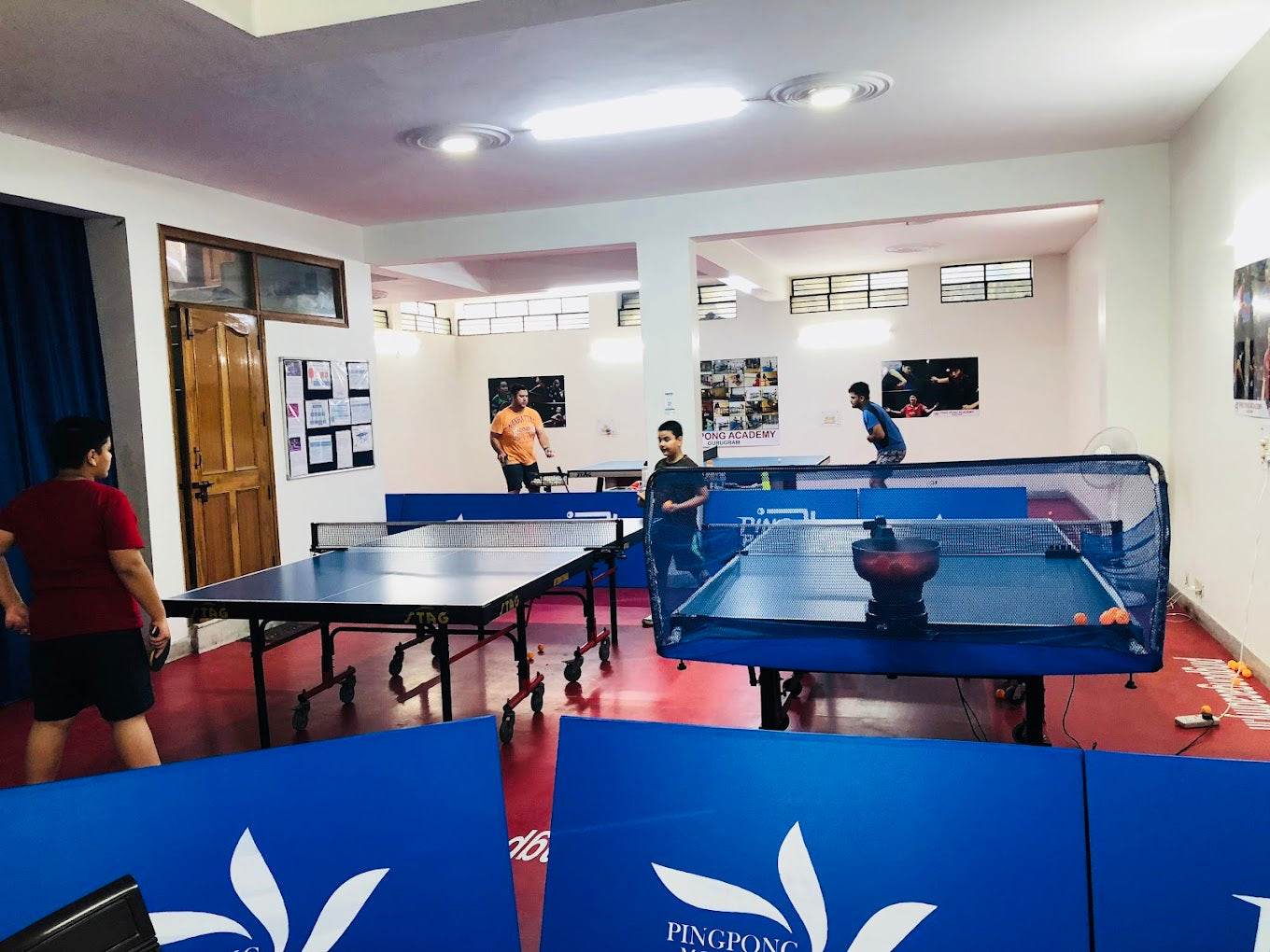 Ping Pong Academy for Table Tennis Coaching | Sector 15 Gurgaon - ActivityKidz