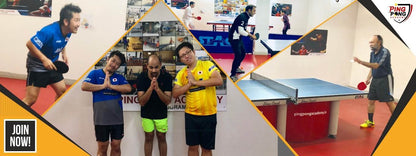 Ping Pong Academy for Table Tennis Coaching | Sector 15 Gurgaon - ActivityKidz