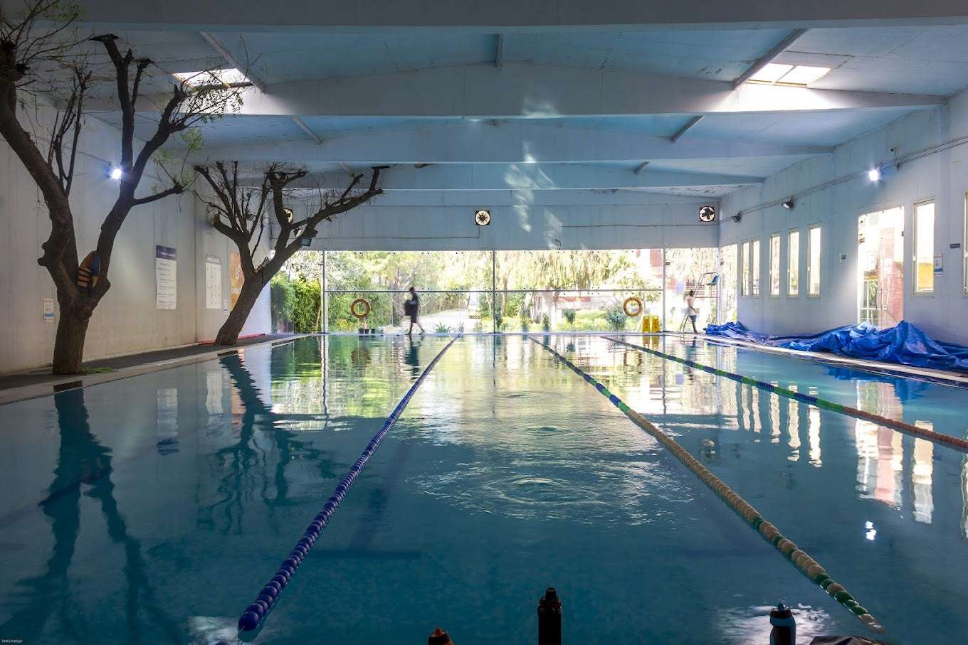 Acquastrokes Swim School for Kids & Teens | Sector 43 Gurgaon