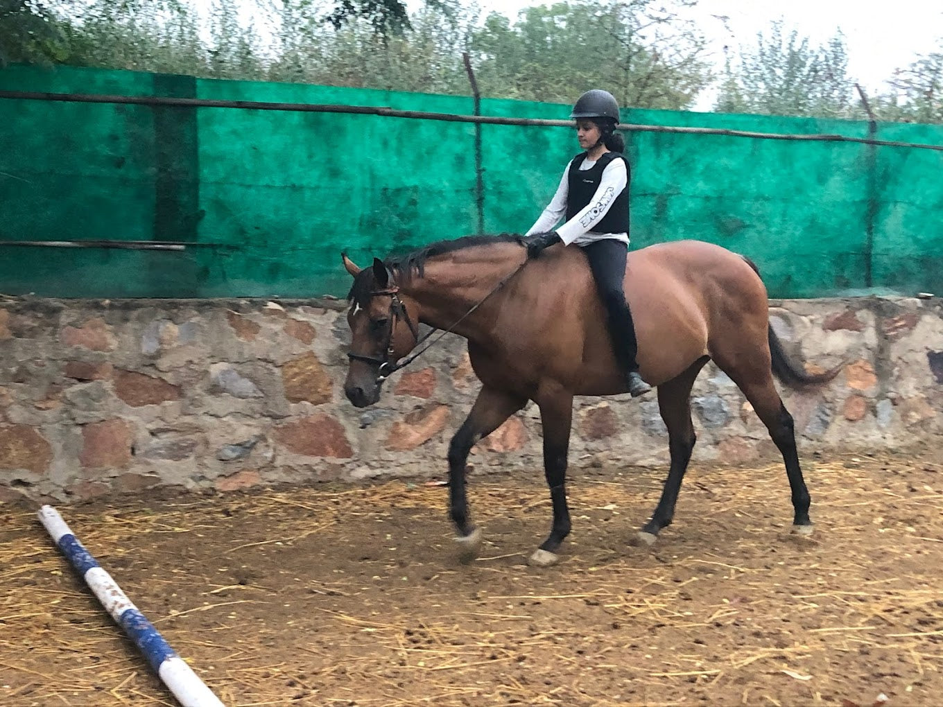 Adagio Riding Stables | Horse Riding | Near Pathways School Gurgaon