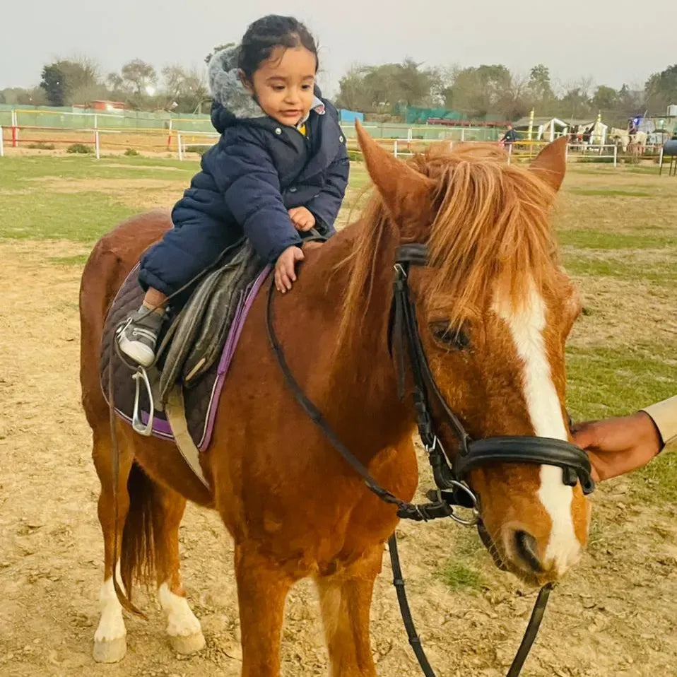 デューク乗馬クラブ | ヘリテージ インターナショナル エクスペリエンス スクールの近く