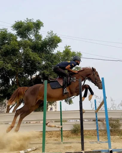 Faridabad Horse Riding & Sports Club Sector 82 Faridabad