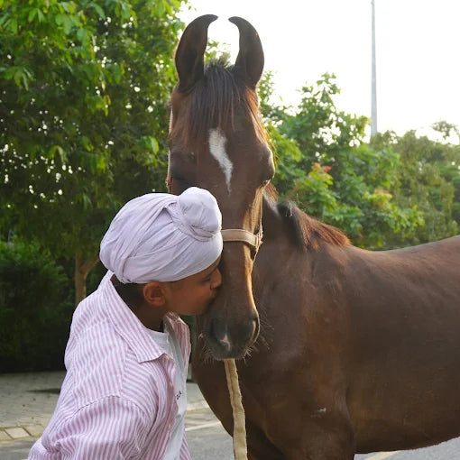 Faridabad Horse Riding & Sports Club Sector 82 Faridabad