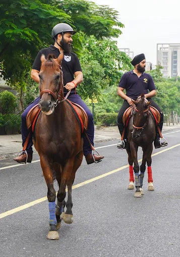 Faridabad Horse Riding & Sports Club Sector 82 Faridabad