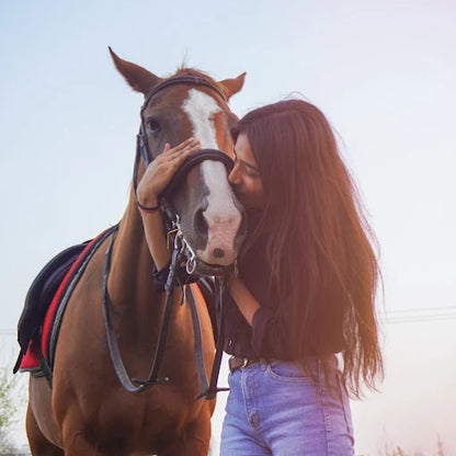 Faridabad Horse Riding & Sports Club Sector 82 Faridabad