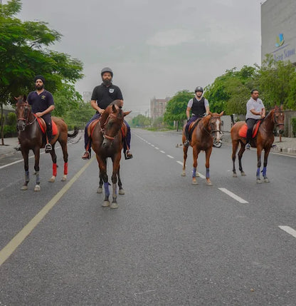 Faridabad Horse Riding & Sports Club Sector 82 Faridabad