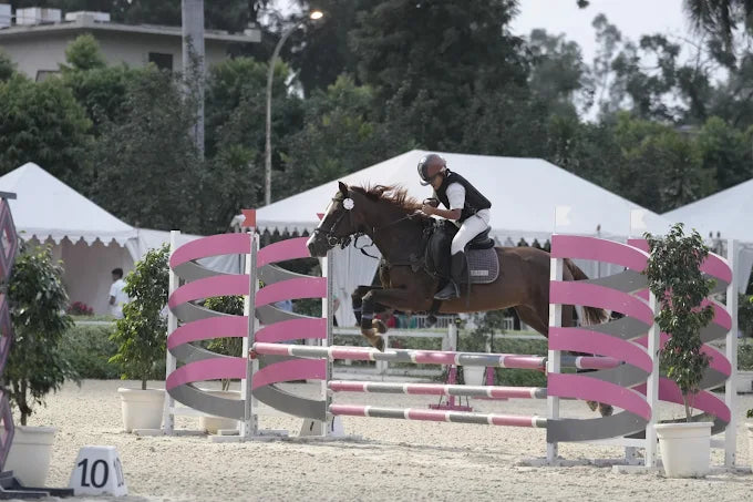 Faridabad Horse Riding & Sports Club Sector 82 Faridabad