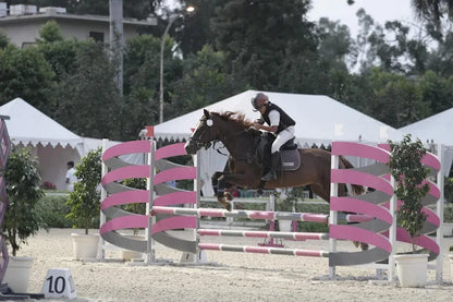 Faridabad Horse Riding & Sports Club Sector 82 Faridabad