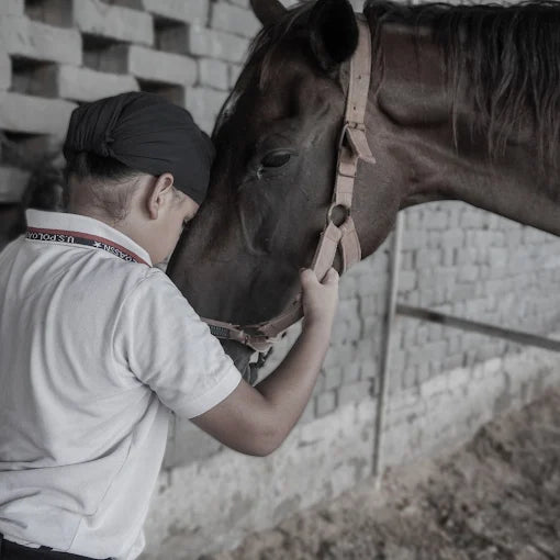 Faridabad Horse Riding & Sports Club Sector 82 Faridabad