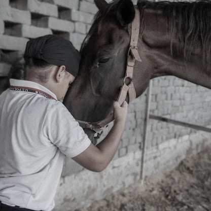 Faridabad Horse Riding & Sports Club Sector 82 Faridabad