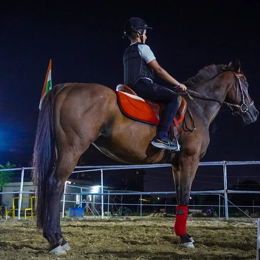 Faridabad Horse Riding & Sports Club Sector 82 Faridabad