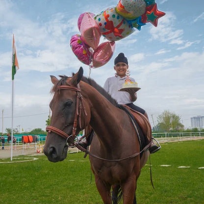 Faridabad Horse Riding & Sports Club Sector 82 Faridabad