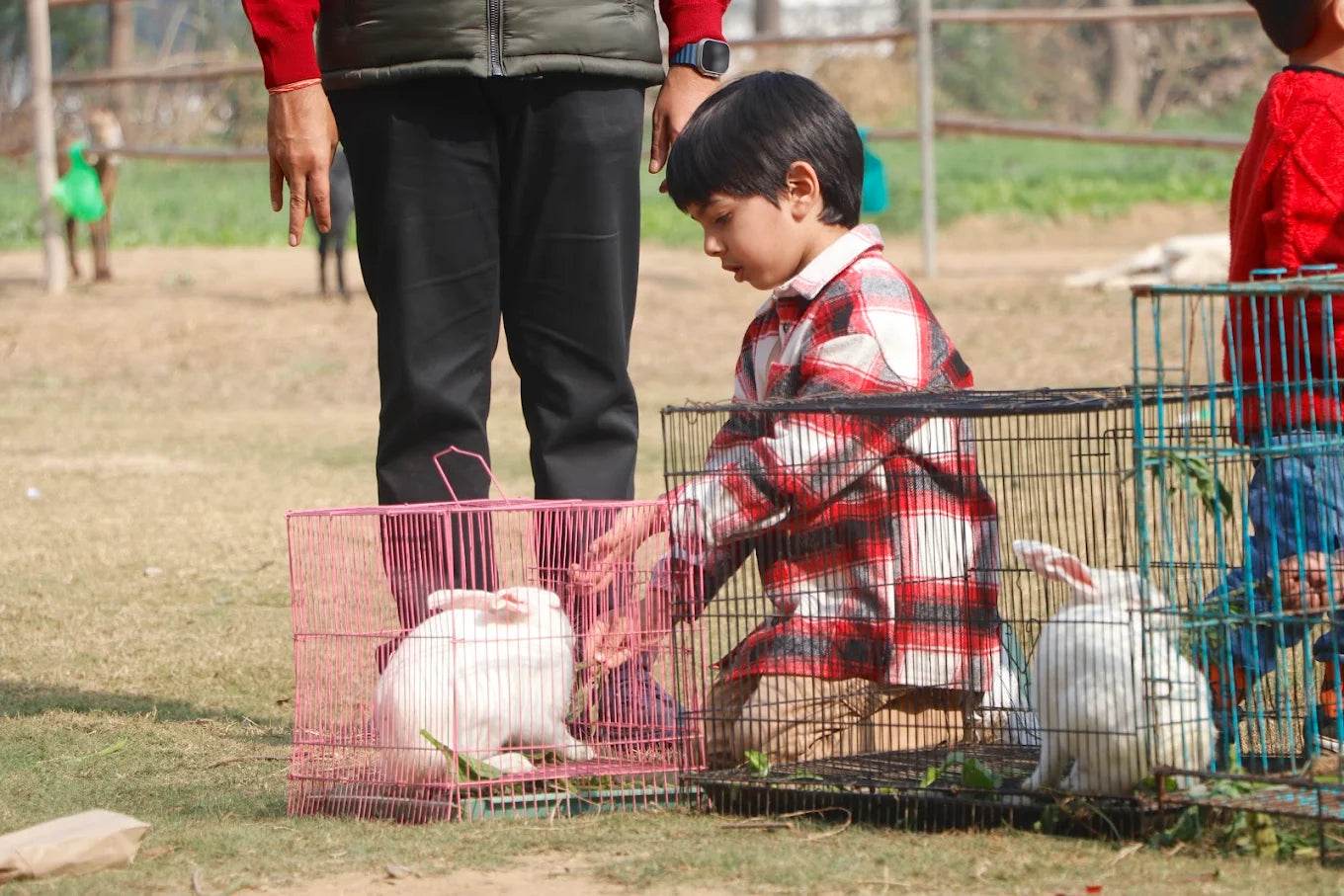Farmus Strawberry Picking Organic Farming and Space Exploration | Sector 67 Gurgaon - ActivityKidz