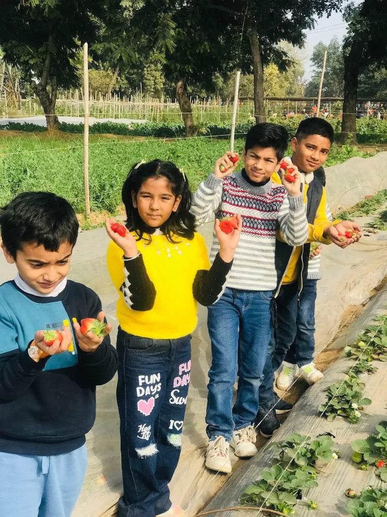 Farmus Strawberry Picking Organic Farming and Space Exploration | Sector 67 Gurgaon - ActivityKidz