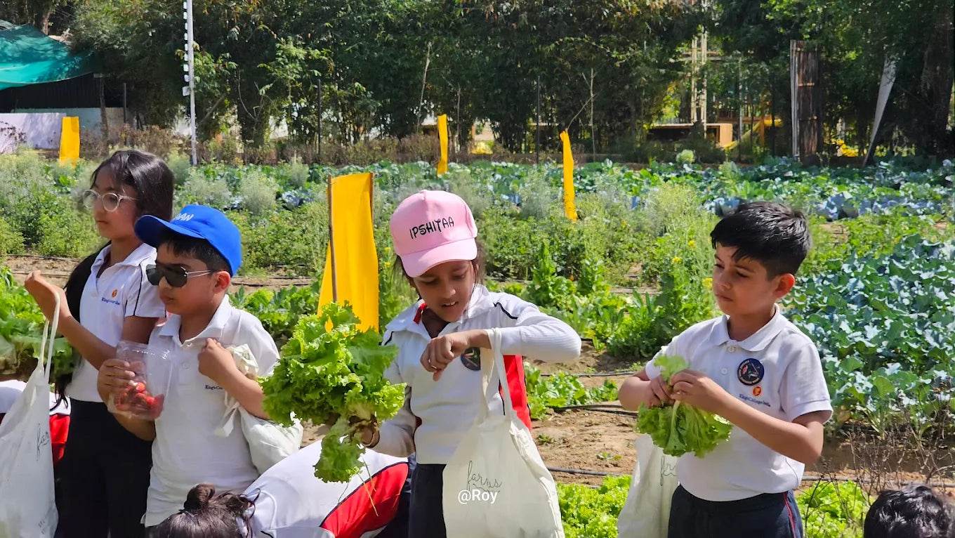 Farmus Strawberry Picking Organic Farming and Space Exploration | Sector 67 Gurgaon - ActivityKidz