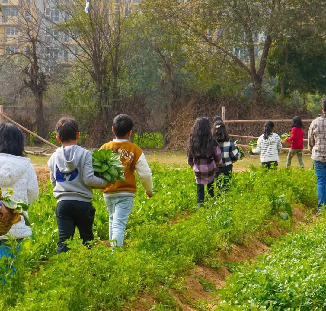 Farmus Strawberry Picking Organic Farming and Space Exploration | Sector 67 Gurgaon