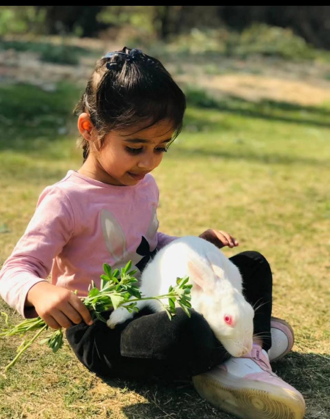 Farmus Strawberry Picking Organic Farming and Space Exploration | Sector 67 Gurgaon