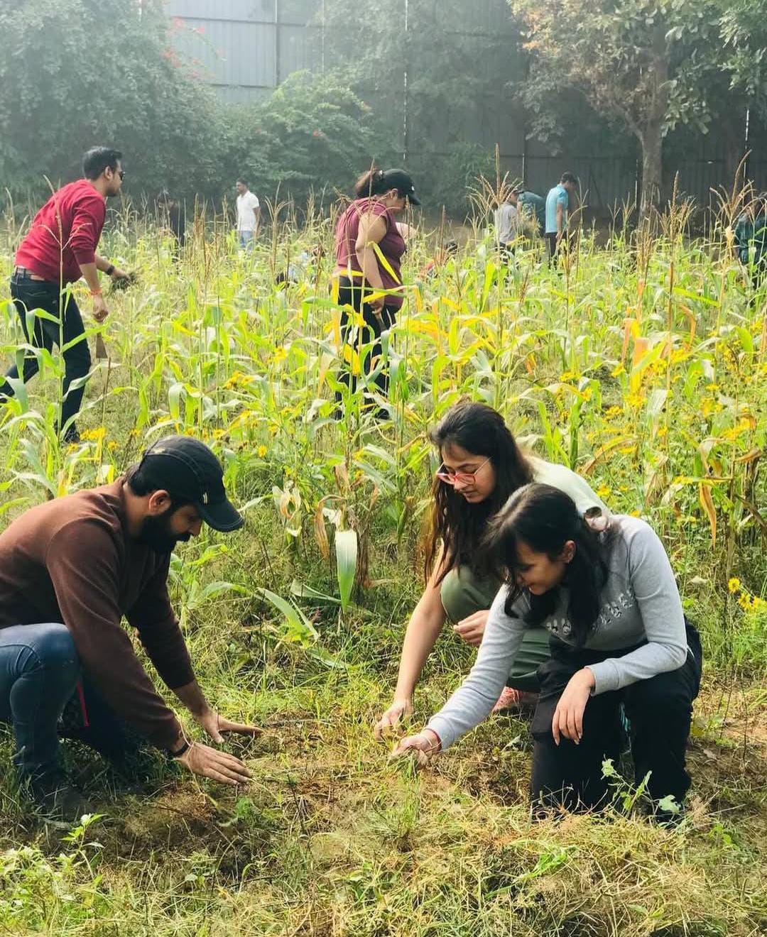 Farmus Strawberry Picking Organic Farming and Space Exploration | Sector 67 Gurgaon