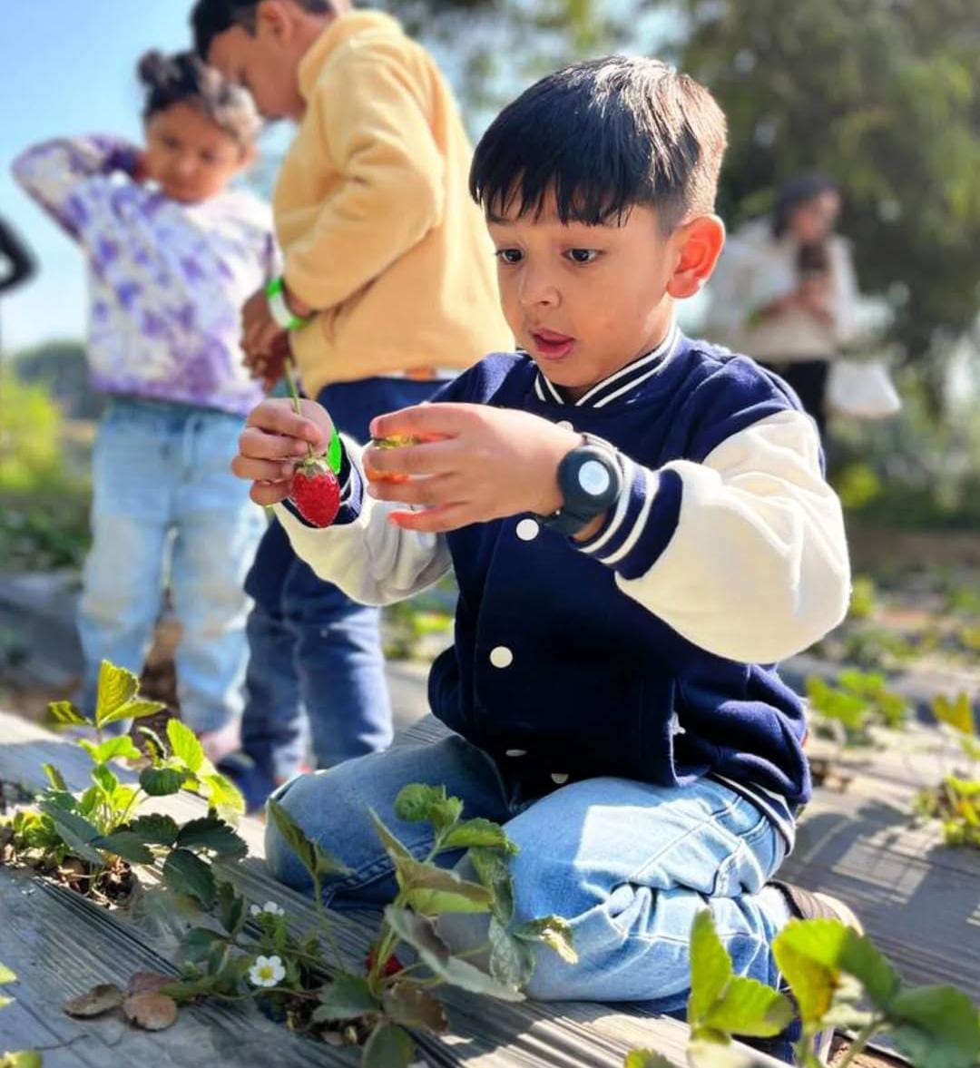 Farmus Strawberry Picking Organic Farming and Space Exploration | Sector 67 Gurgaon