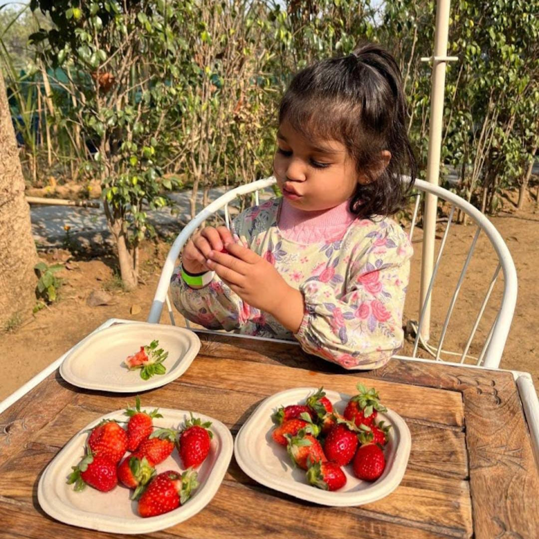 Farmus Strawberry Picking Organic Farming and Space Exploration | Sector 67 Gurgaon