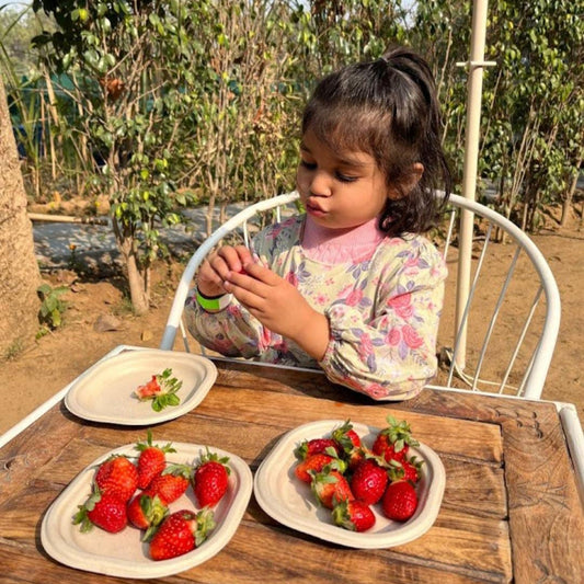 Farmus Strawberry Picking Organic Farming and Space Exploration | Sector 67 Gurgaon