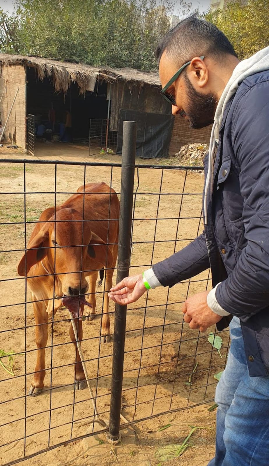 Farmus Strawberry Picking Organic Farming and Space Exploration | Sector 67 Gurgaon