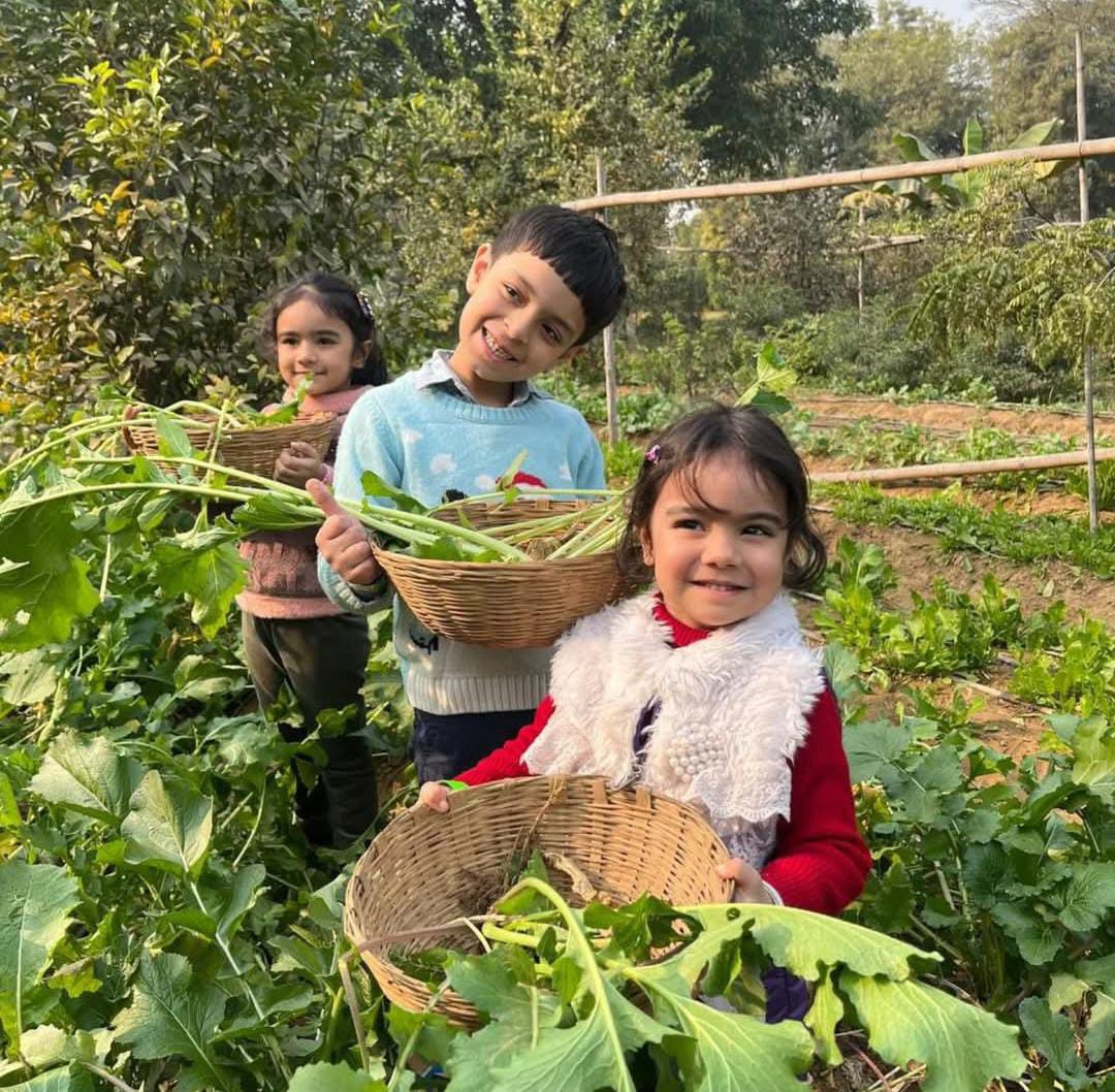 Farmus Strawberry Picking Organic Farming and Space Exploration | Sector 67 Gurgaon