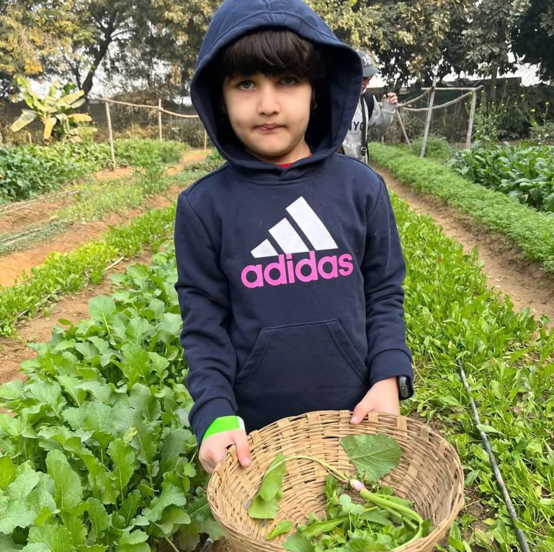 Farmus Strawberry Picking Organic Farming and Space Exploration | Sector 67 Gurgaon