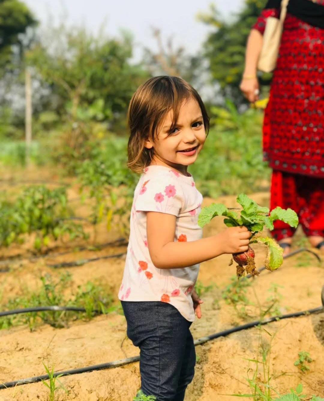 Farmus Strawberry Picking Organic Farming and Space Exploration | Sector 67 Gurgaon