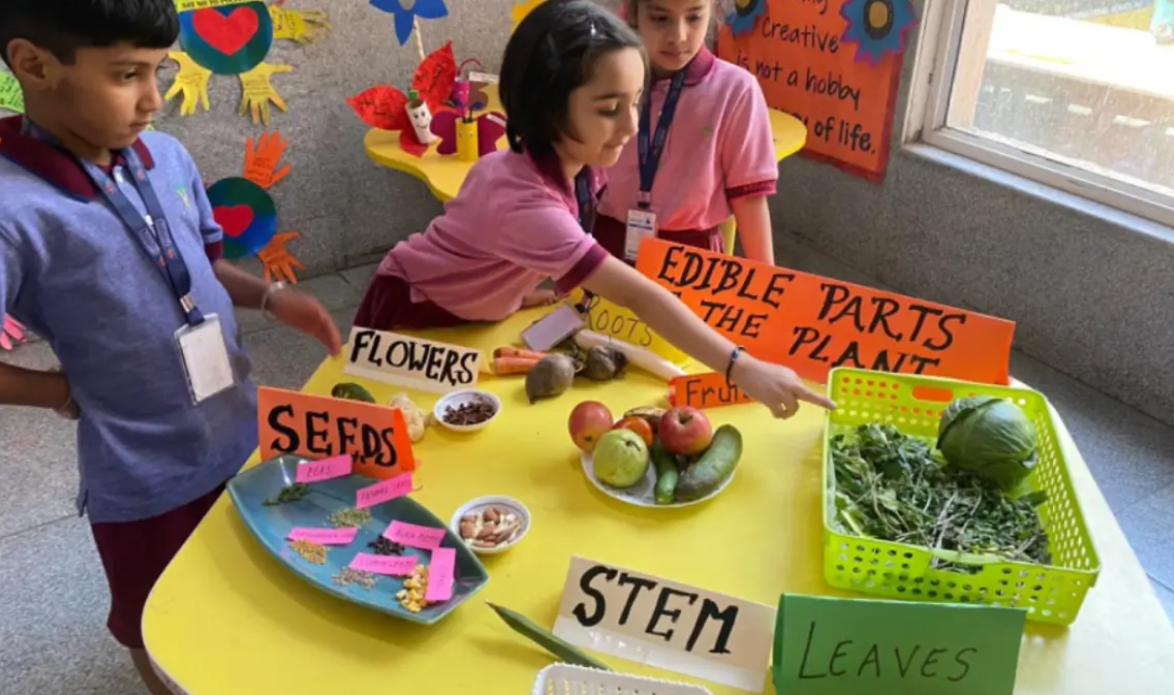Manav Rachna International School Sector 46 Gurgaon