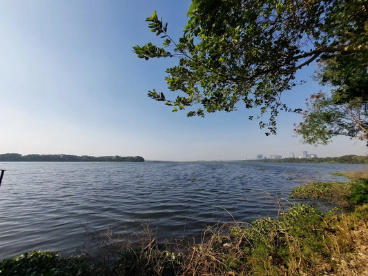 Okhla Bird Sanctuary