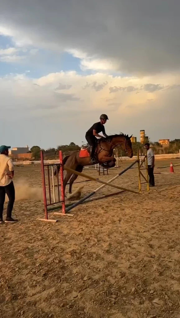 Passion Horse Riding | Near Bani Mandir Behrampur Gurgaon