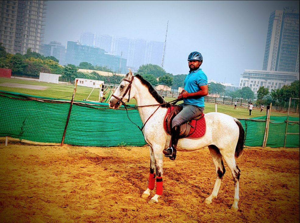 Royal Horse Riding | Near SR Nursery Sector 64, Gurgaon
