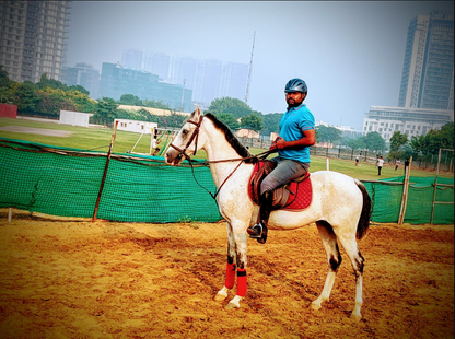 Royal Horse Riding | Near SR Nursery Sector 64, Gurgaon