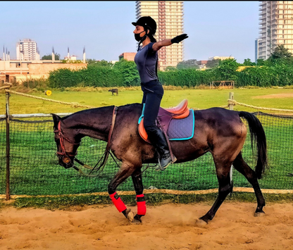 Royal Horse Riding | Near SR Nursery Sector 64, Gurgaon