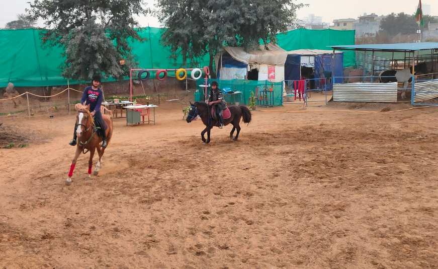 Royal Horse Riding | Near SR Nursery Sector 64, Gurgaon