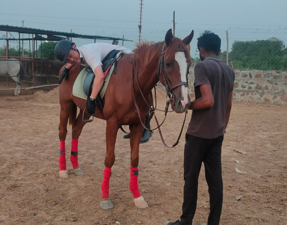 Royal Horse Riding | Near SR Nursery Sector 64, Gurgaon