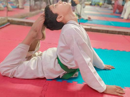 Sai Karate Academy for Karate Kickboxing Taekwondo | Sector 15 Gurgaon