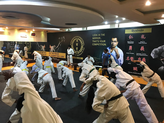 Sanshinkan Martial Arts Academy | Sector 56 Gurgaon
