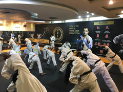 Jujitsu Academies 